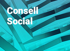 Consell Social